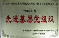 恒益電廠黨總支獲2010年度先進基層黨組織